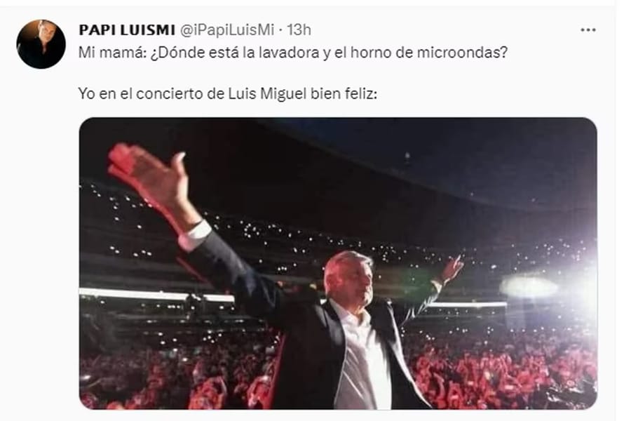 memes de Luis Miguel