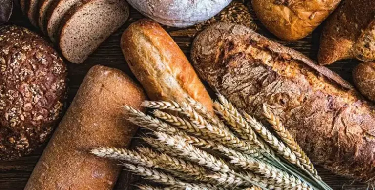 Los panes más saludables para el organismo