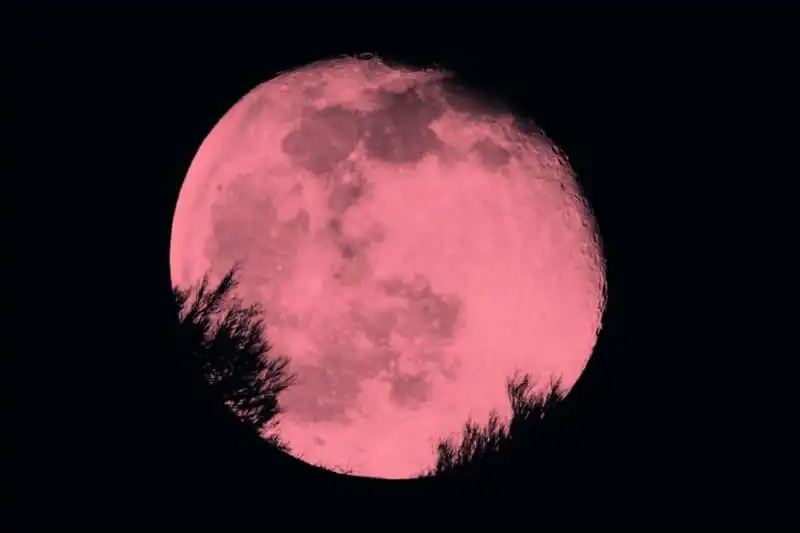 importancia de la Superluna rosa 