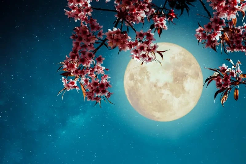 los rituales de belleza de luna llena
