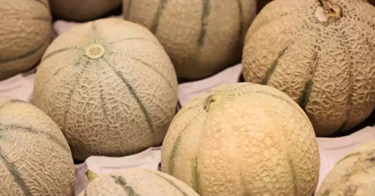 Casos de salmonella en melones en los Estados Unidos y Canadá